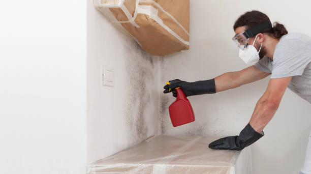 Professional Mold Remediation technician working in Peach Lake, NY